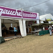 Gauche écosocialiste
