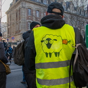 Gilet jaune