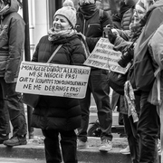 Manifestante