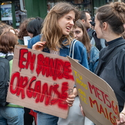 Bande prganisée