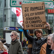Insulter