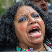 Manifestante