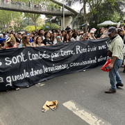 ils sont tombés