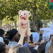 nounours ensanglanté