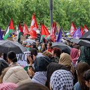 Cortège