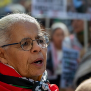 Manifestante