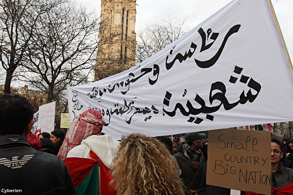 Manif Tunisie à Paris 15/01/2011