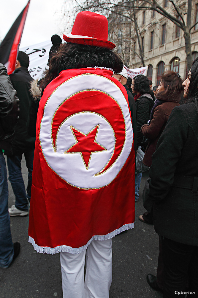 Manif Tunisie à Paris 15/01/2011