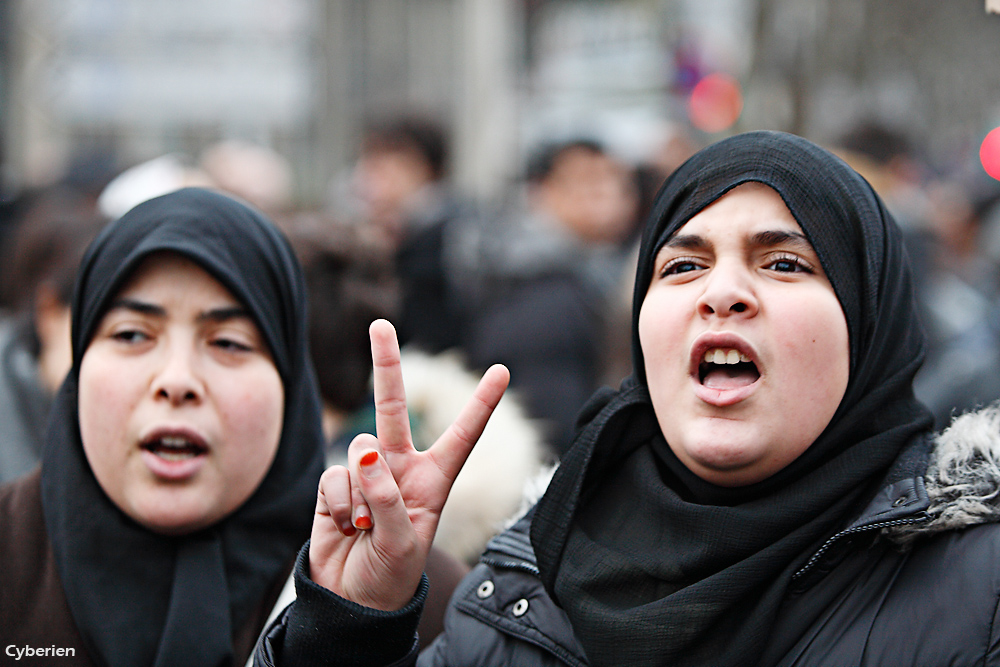 Manif Tunisie à Paris 15/01/2011