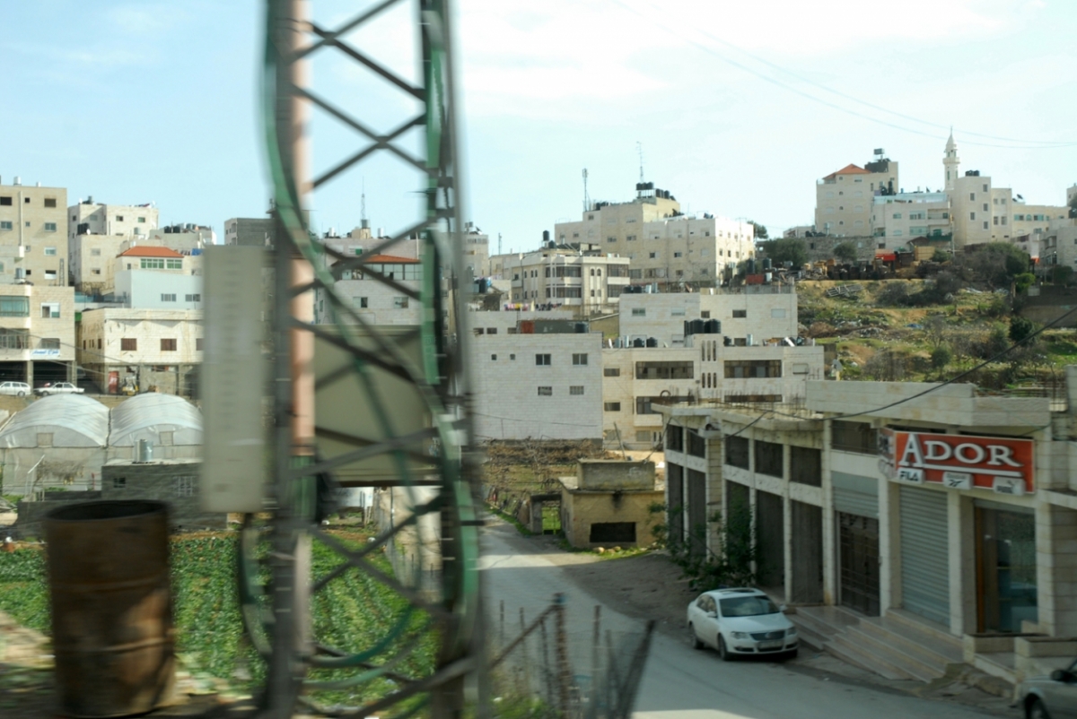 palestine 20120126