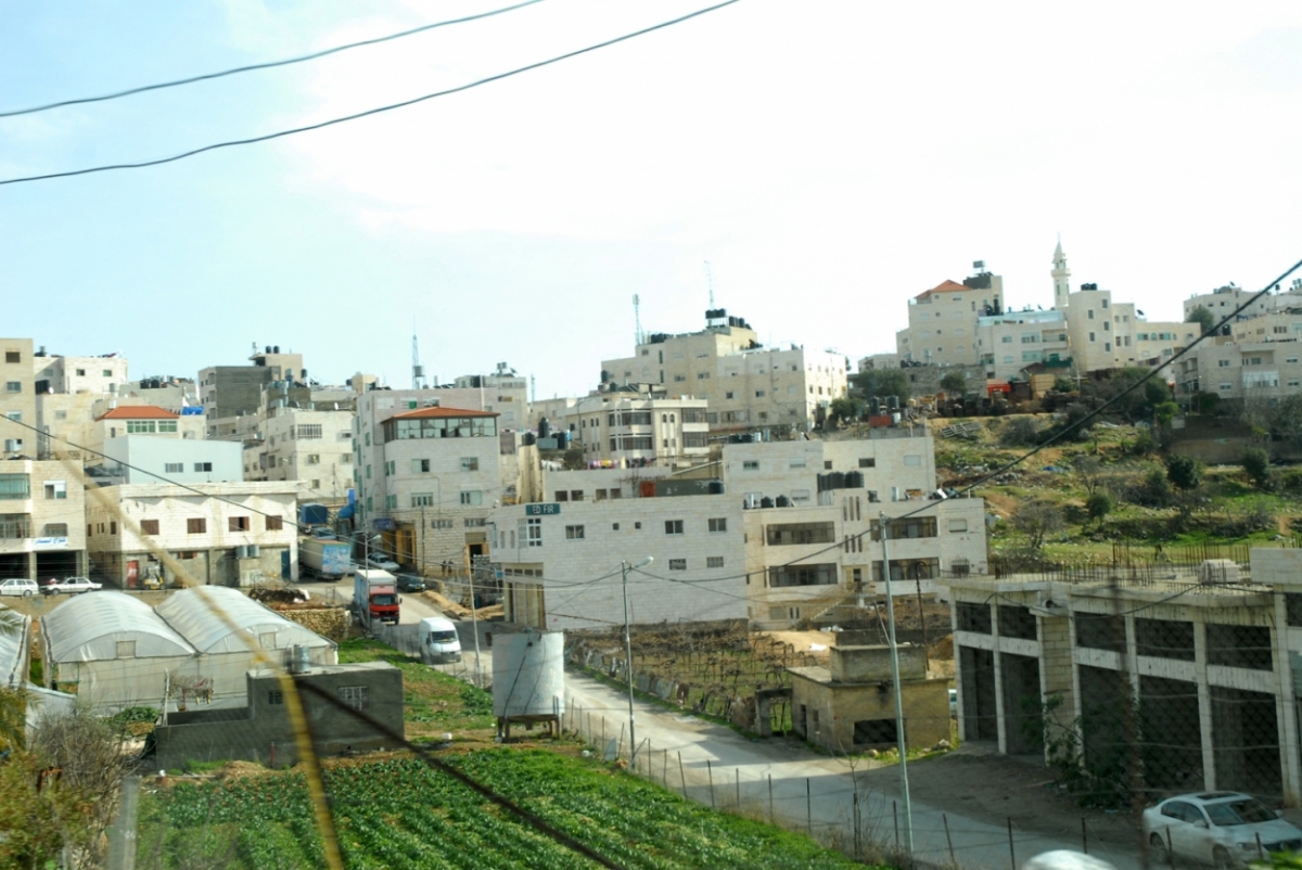 palestine 20120127