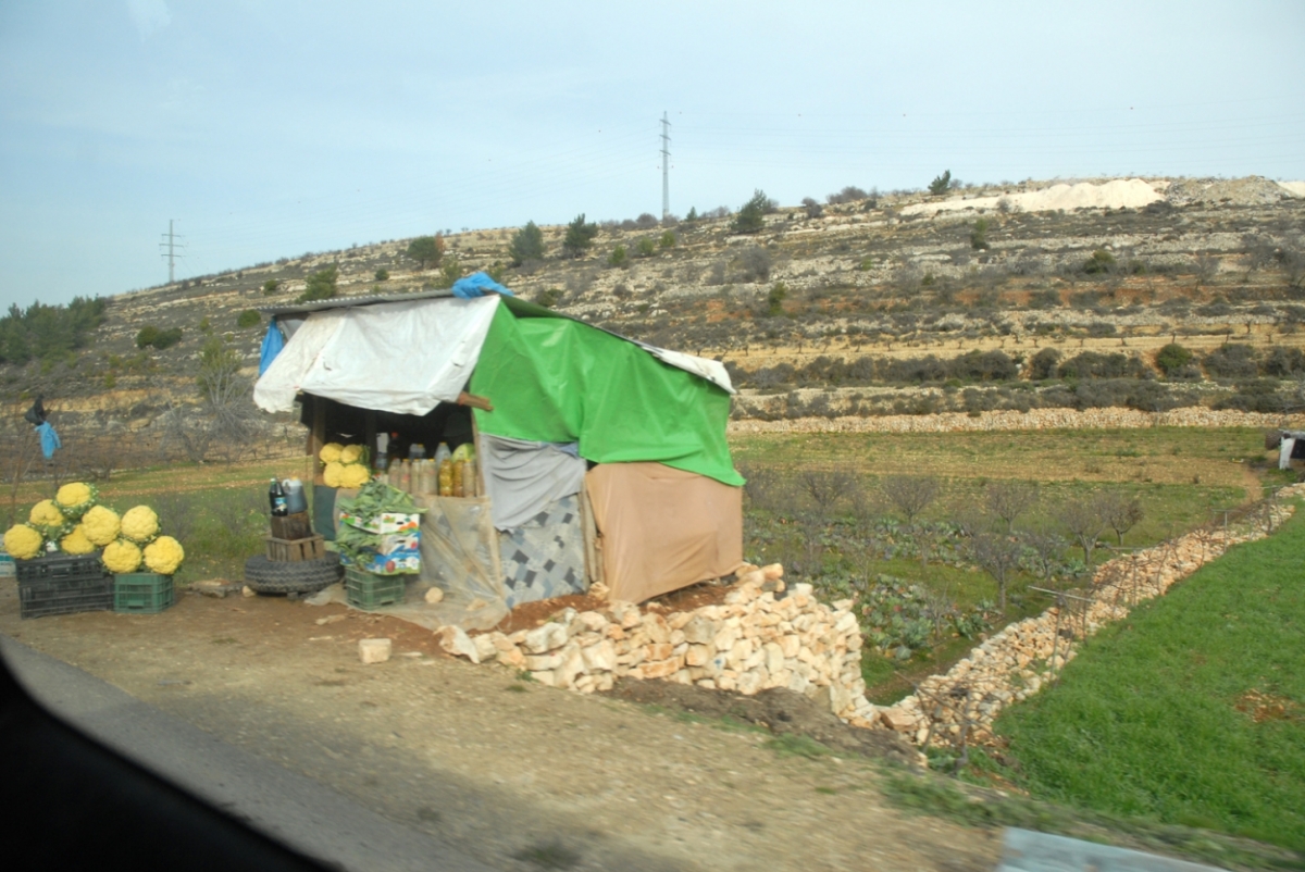palestine 20120136