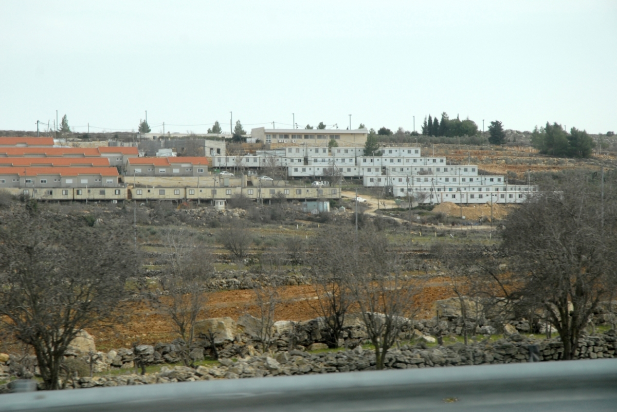 palestine 20120145