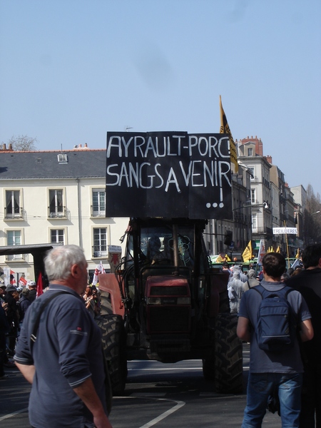 Manifestation contre l'Ayrault port ND des Landes