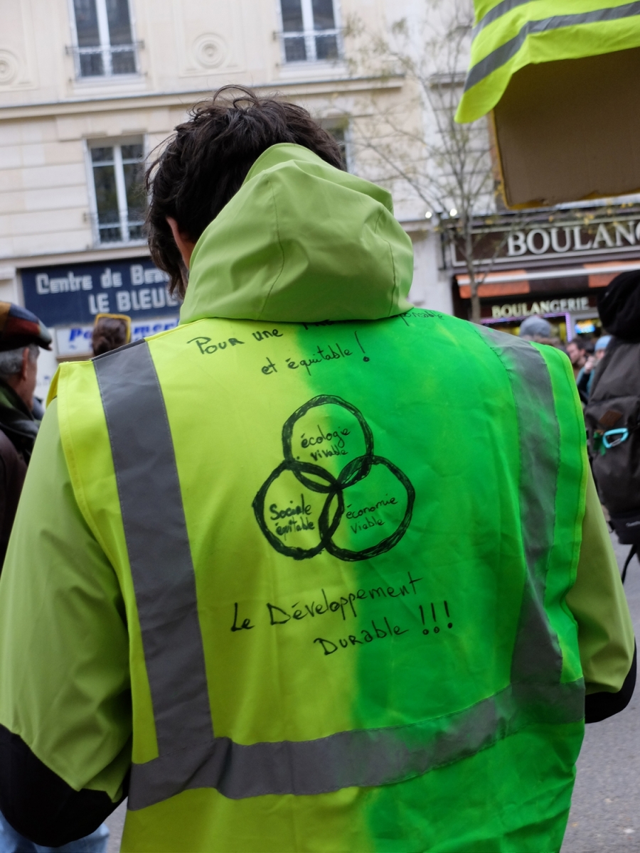 gilet vert