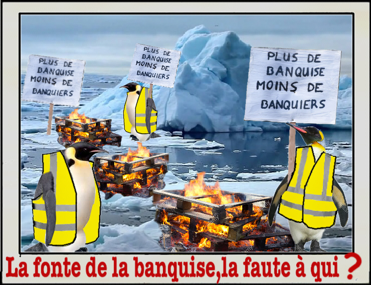 C'est la faute aux Gilets Jaunes  11