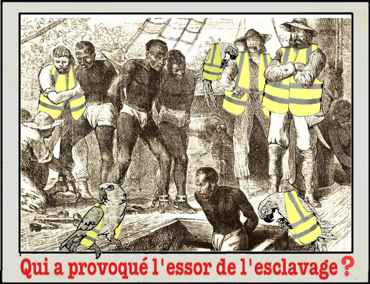 C'est la faute aux Gilets Jaunes  8