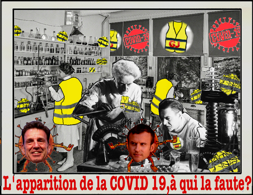 l'apparition de la covid 19