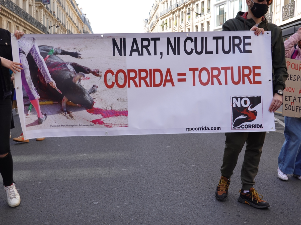 corrida égale torture