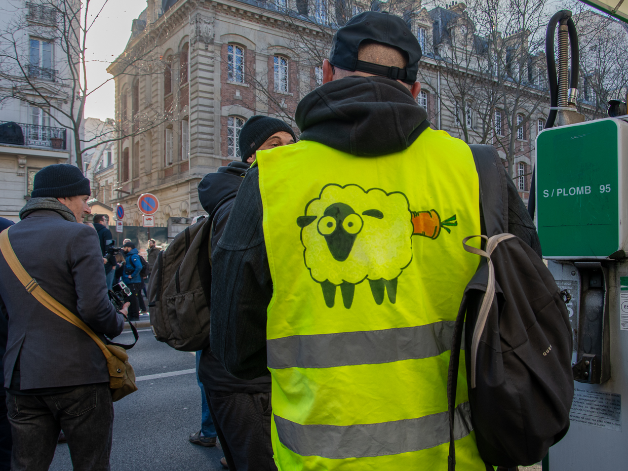 Gilet jaune