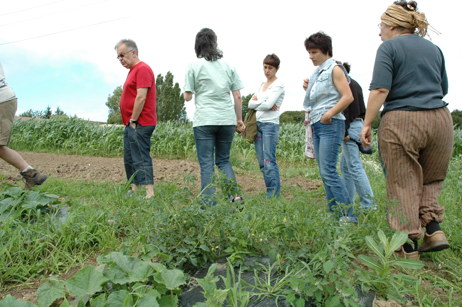 amap9juillet06042