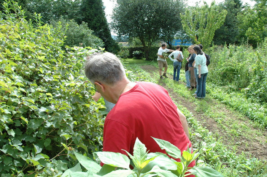 amap9juillet06064