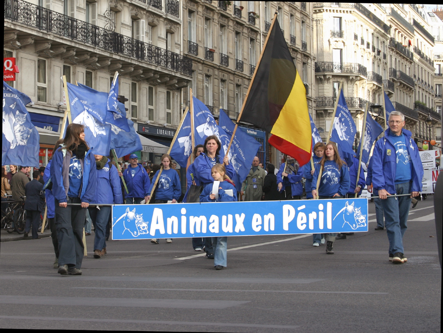 Animaux en péril