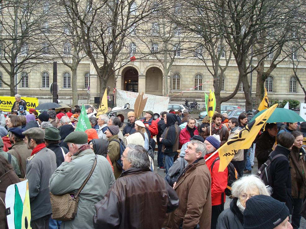 Rassemblement contre la culture OGM en plein champ