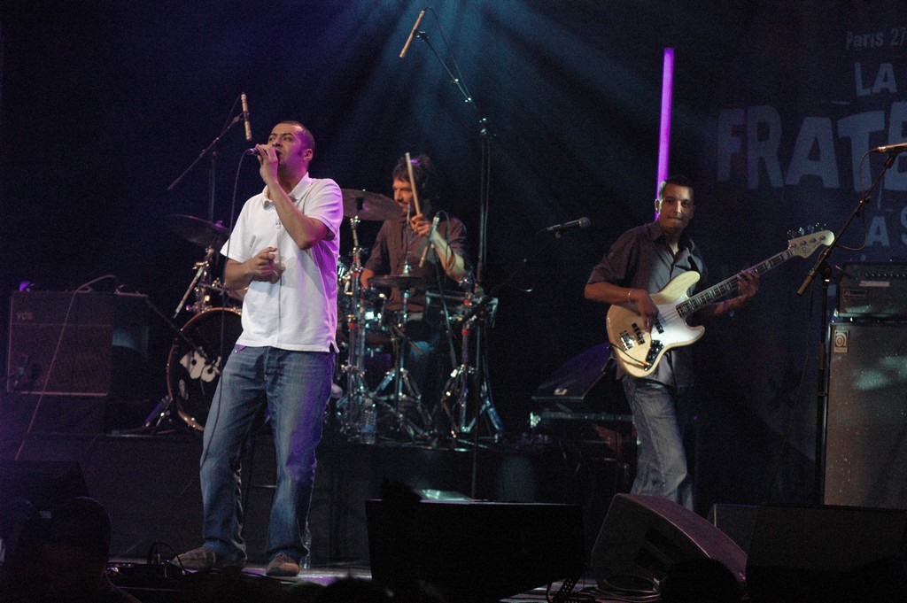 Rassemblement des partisans de Ségolène Royal, le 27 septembre 2008, au Zénith de Paris