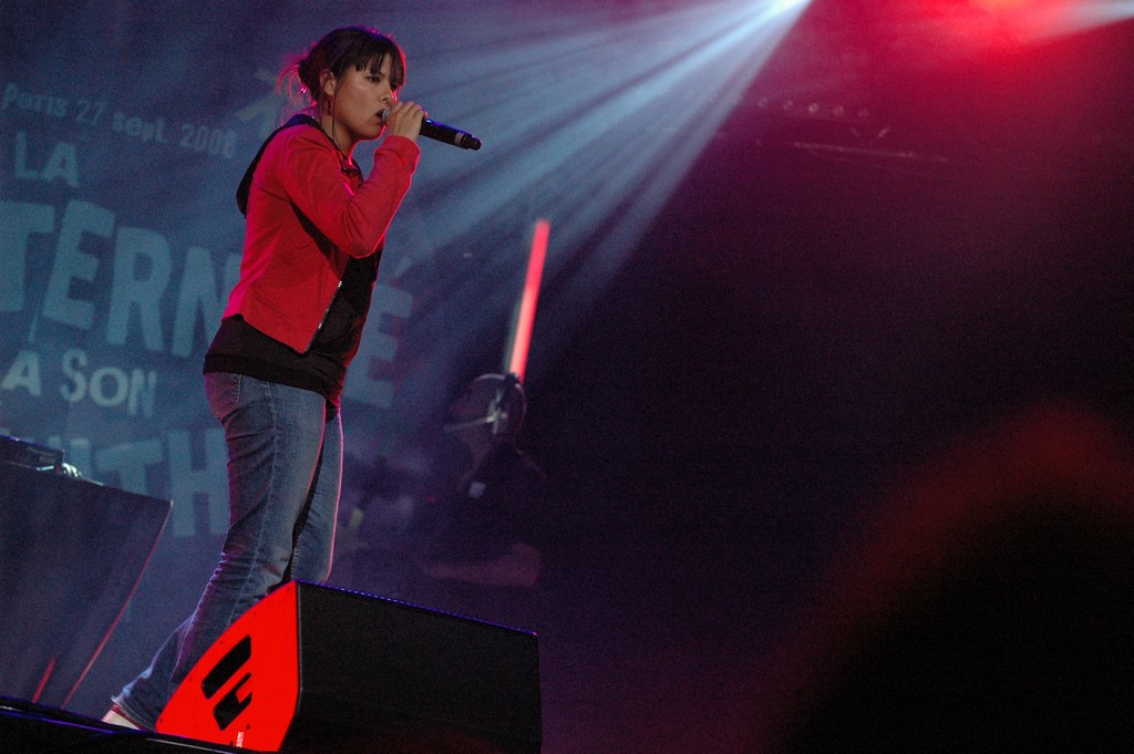 Rassemblement des partisans de Ségolène Royal, le 27 septembre 2008, au Zénith de Paris