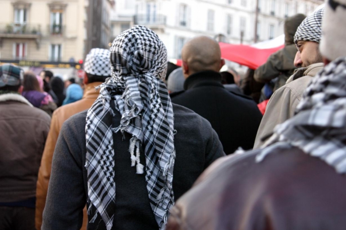 Manif Palestine (Paris) 28 déc.08