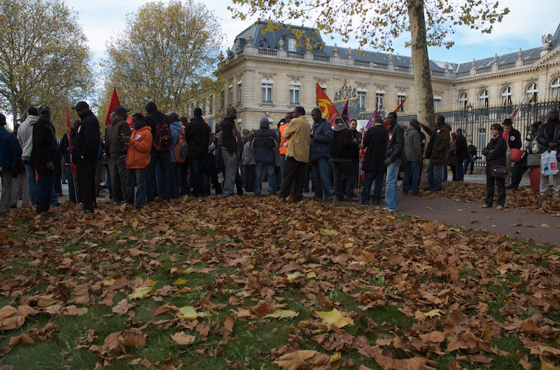 Feuilles mortes