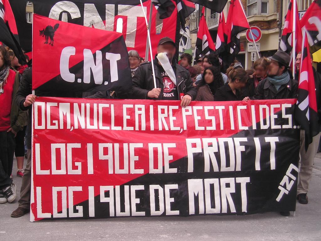 manifestation anti-nucléaire - 17 mars 2007 - Lille - syndicat CNT