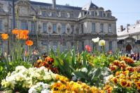 1er Mai 2011 . Grenoble