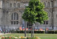 1er Mai 2011 . Grenoble