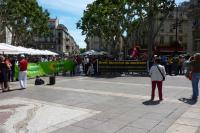 11 juin 2011 Place de l'horloge AVIGNON
