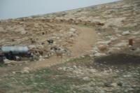 palestine 20120203