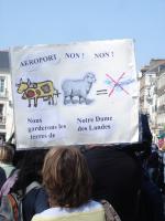 Manifestation contre l'Ayrault port ND des Landes