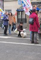 manif fonction publique paris le 310113