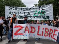 Zad libre