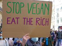 stop vegan