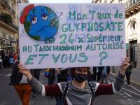 Taux de glyphosate