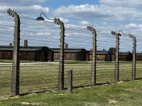 auschwitz-birkenau