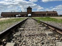 auschwitz-birkenau