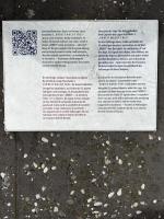 auschwitz-birkenau