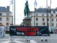 La vivisection est un crime (Victor Hugo)
