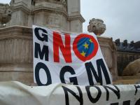 NO OGM