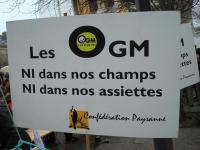 OGM: ni dans nos champs, ni dans nos assiettes