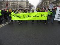 Yellowvest