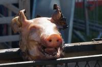 Le cochon de lait grillé de Gennevilliers